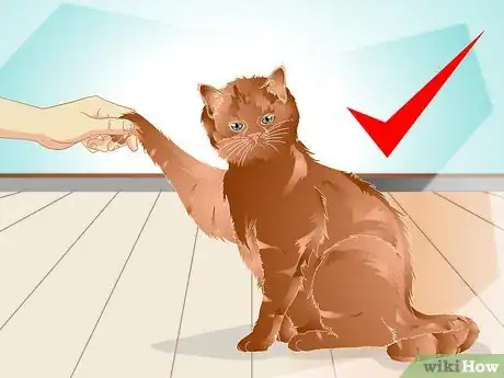 Image intitulée Teach a Cat to "High Five" Step 1